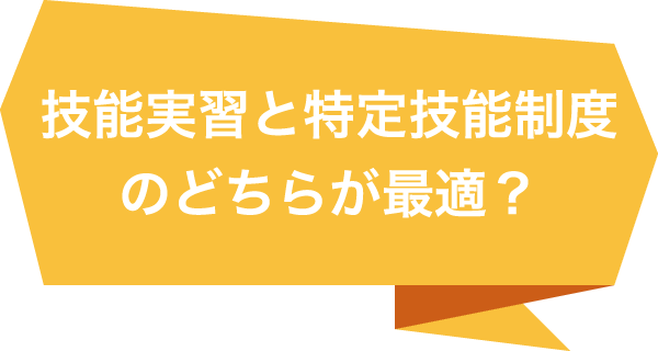 技能実習と特定技能制度のどちらが最適?