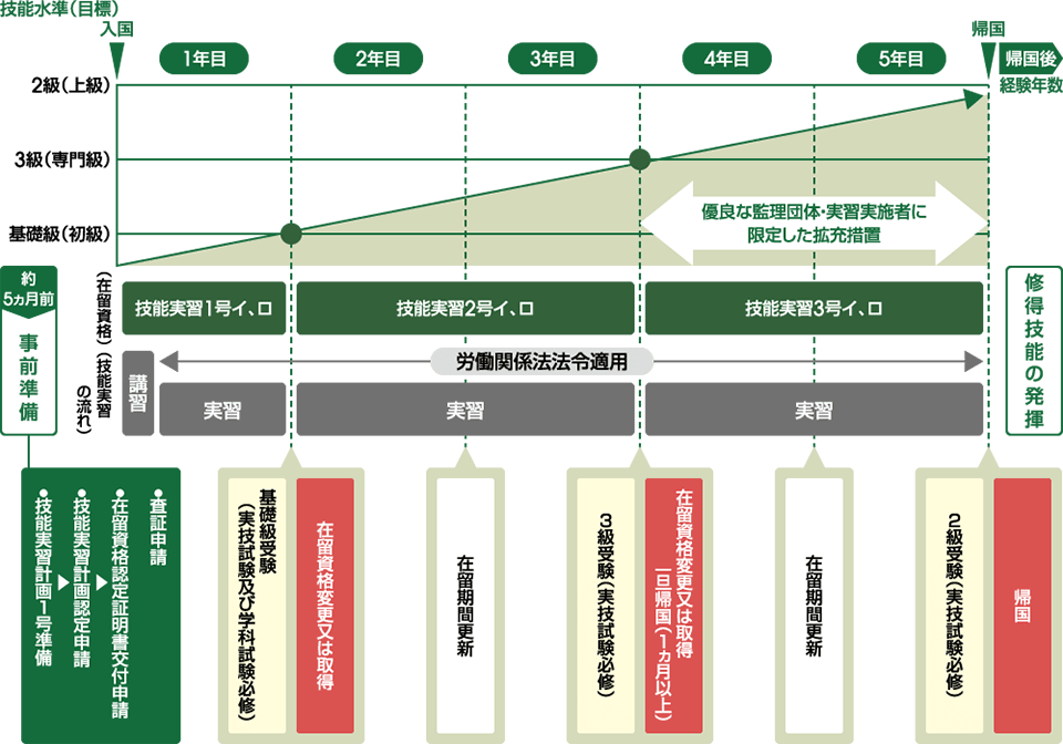 受入れまでの流れ