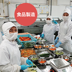 食品製造